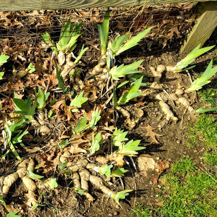 clone tag: 5237812950054657864